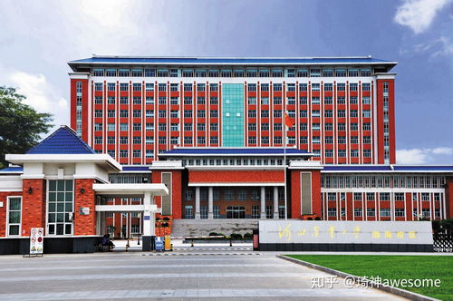 河北农业大学电子信息科学与技术专业 在信息系统运行维护中历练成长